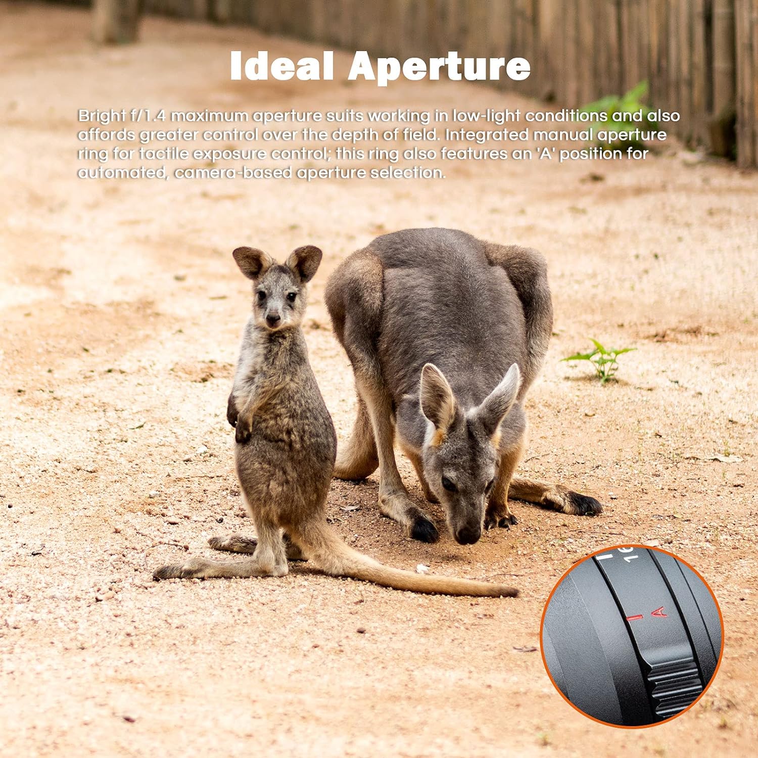 Viltrox 56mm F1.4 Autofocus Lens, Compatible with APS-C Nikon Z-Mount Mirrorless Camera Z fc Z50 Z5 Z6 Z6 II Z7 Z7 II (Black) - Digitek