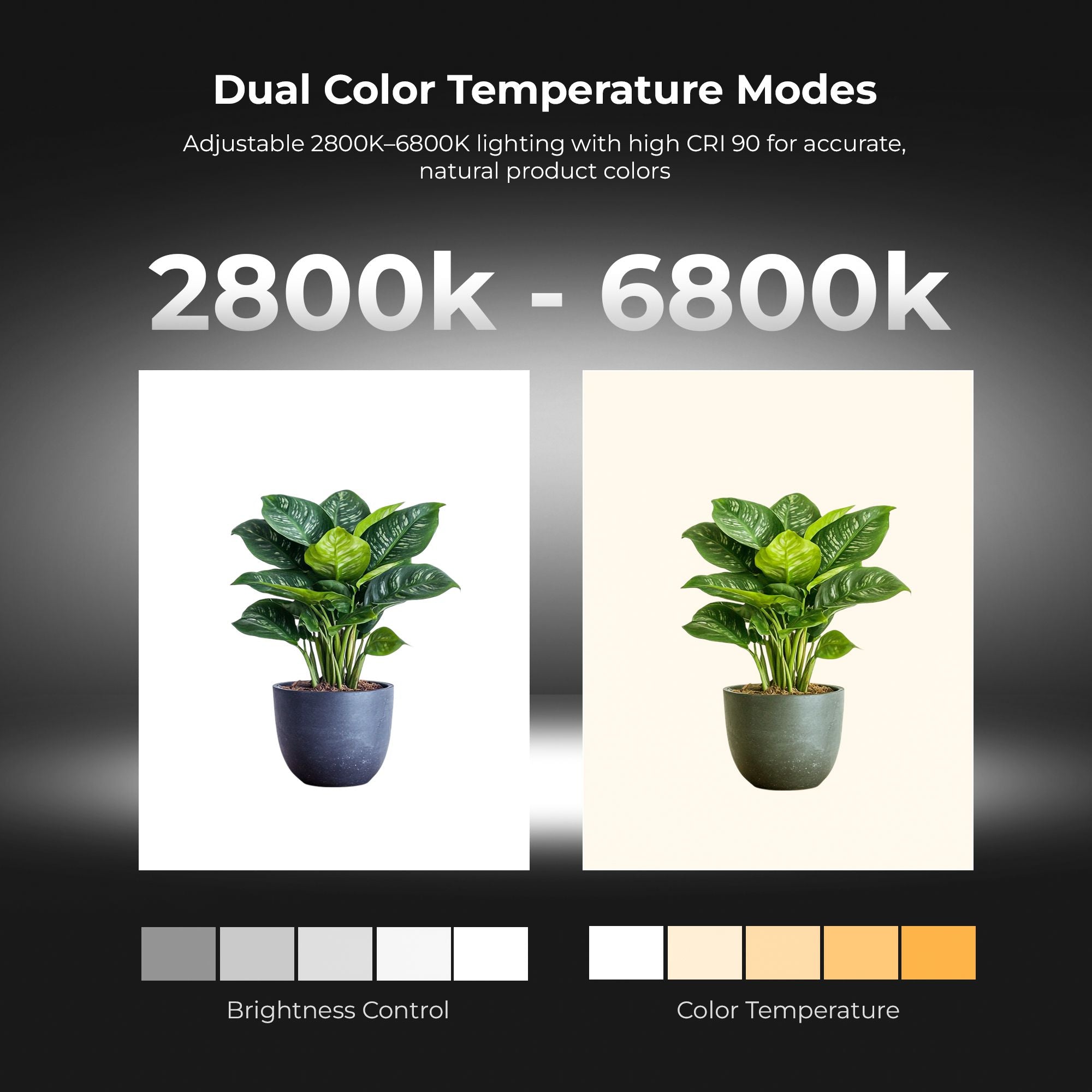 Digitek (DPLB 4040) Professional 40cm Photography LED Light Box, 30W Dual Bi-Color LED Panels, 2800K–6800K, 90 CRI, 0-100% Dimming, 6 Color PVC Backgrounds, Shadow-Free Shooting for Camera & Phone