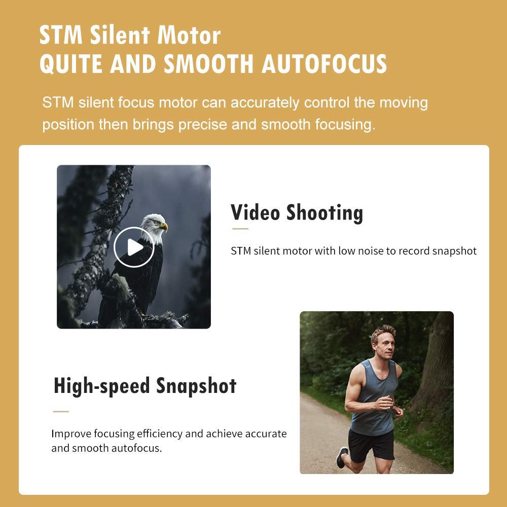 VILTROX 23mm F1.4 f/1.4 Sony E-Mount Auto Focus APS-C Prime Lens for Sony E-Mount Camera A6500 A6300 A6000 A7RⅣ A7RⅢ A7Ⅲ A7RⅡ A7Ⅱ A7S A7R - Digitek