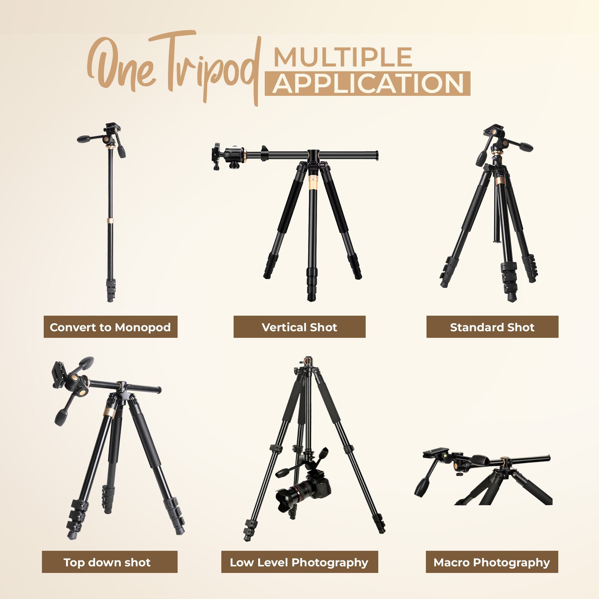 Digitek (DTR 620 BH) Multi-Angle 6ft DV Tripod Cum Monopod, 3-Way Pan & Tilt Head, Central Column for Tabletop & Vertical Shots, 20Kg Max Load, 4-Section Adjustable, Quick Release & Flip Leg Lock