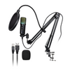 Digitek (DM 401) RGB USB Condenser Microphone Kit with BoomArm, Pop Filter, Shock Mount, Mic Cover, Desktop Mount, Tripod & 1.5M USB Cable, Compatible with PS4/PS5, Window & Mac PC/Laptop/Smartphone, for Podcasting, Gaming, Singing & Live Streaming