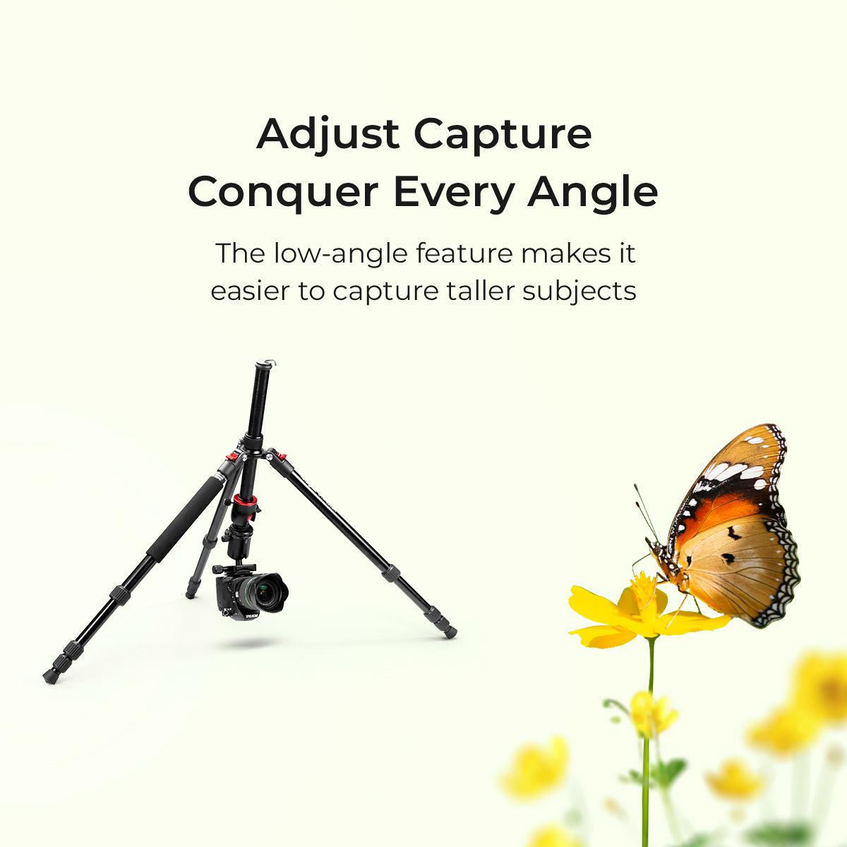 Digitek (DTR 520 BH) (60 Inch) (152cm) Professional Aluminum Tripod Cum Monopod with Swivel Pan Head, for DSLR Camera | Maximum Operating Height: 4.95 Feet | Maximum Load Upto: 7kgs (Black) - Digitek