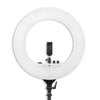 Digitek (DRL 018H) Professional 46 CM (18 inch) Big LED Ring Light with 2 Color Modes Dimmable Lighting, Photo-shoot, Video shoot, Live Stream, Makeup & more, Compatible with iPhone/ Android Phones & Cameras